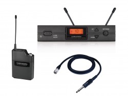 Audio-Technica - Audio-Technica ATW-2110A/G Headset Mikrofon