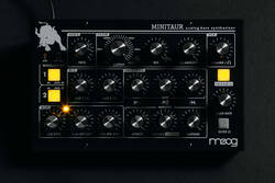 Moog Minitaur Analog Synthesizer - Thumbnail