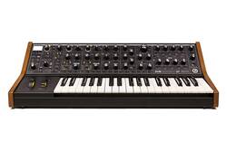 Moog Subsequent 37 37 Tuş Analog Synthesizer - Thumbnail
