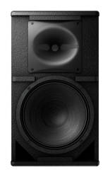 Pioneer Pro Audio XY-101 10 İnç 2 Yollu Hoparlör - Thumbnail