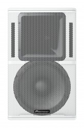 Pioneer Pro Audio - Pioneer Pro Audio XY-122 12 İnç 2 Yollu Pasif Hoparlör